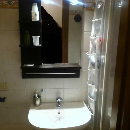 Rododendro Frabosa Sottana